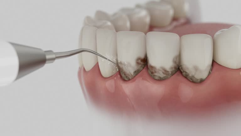 Reliable Dental contractor in Ottawa, OH by Dentist Open Now